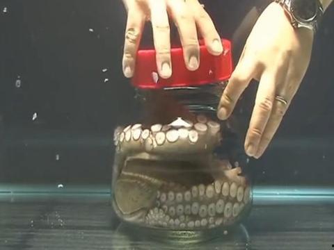 瓶子爆料最近新闻消息视频,最新热点新闻视频盘点 第1张 瓶子爆料最近新闻消息视频,最新热点新闻视频盘点 第1张